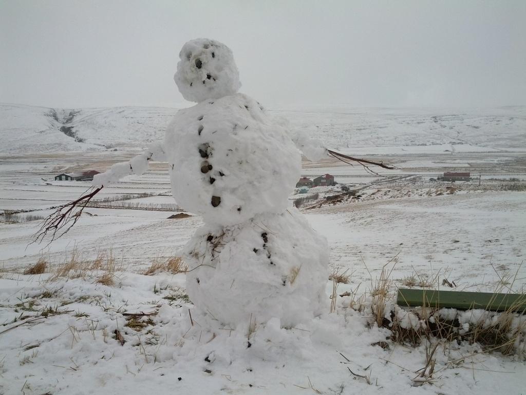 Erpsstadir Cottage Sauðafell エクステリア 写真