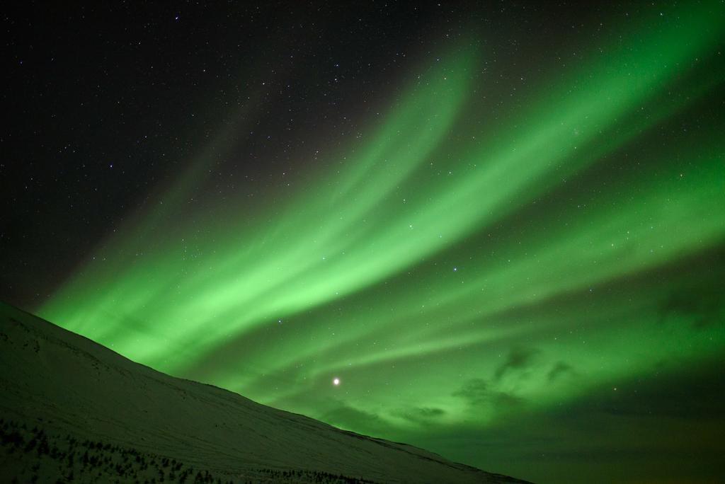 Erpsstadir Cottage Sauðafell エクステリア 写真